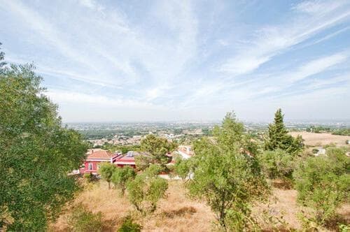 PF11792 - Terrain 1.5 ha, Palmela - Image 31