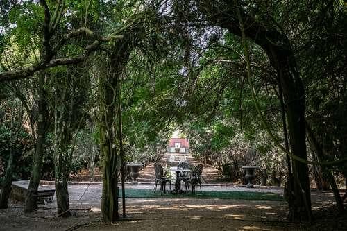 PF23347 - Palacete, Elvas - Imagem 22