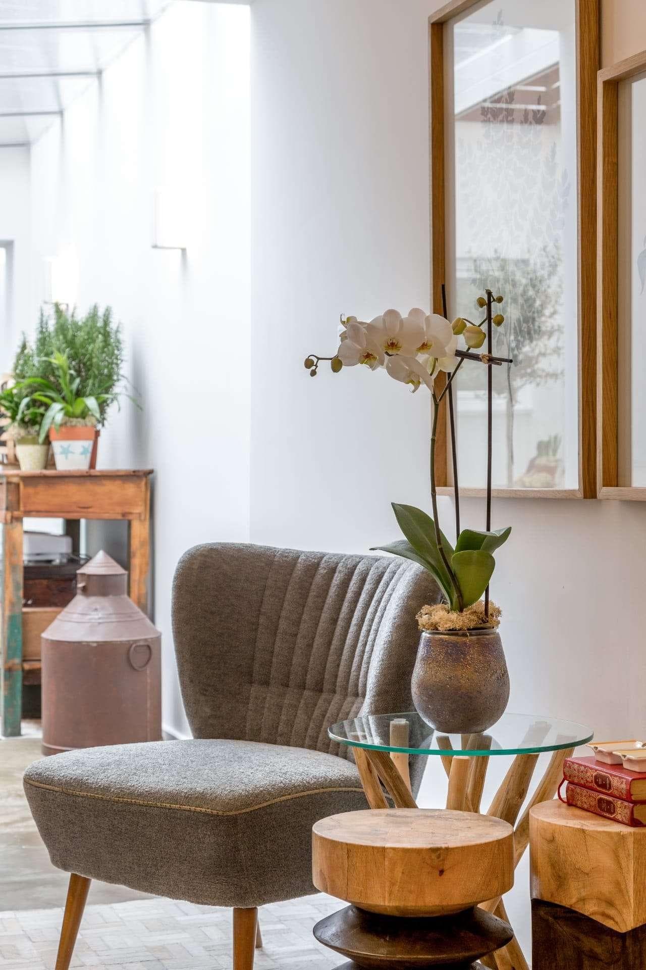 Appartement 2 pièces avec terrasse, Estrela, Lisboa - Image 10