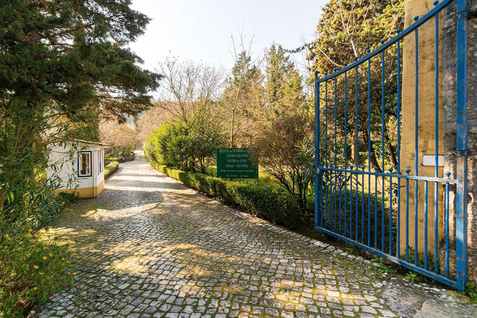 Quinta 19.5 ha, Sintra - Imagem 45