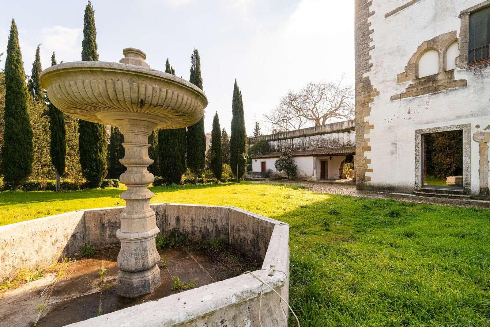 Quinta 19.5 ha, Sintra - Imagem 14