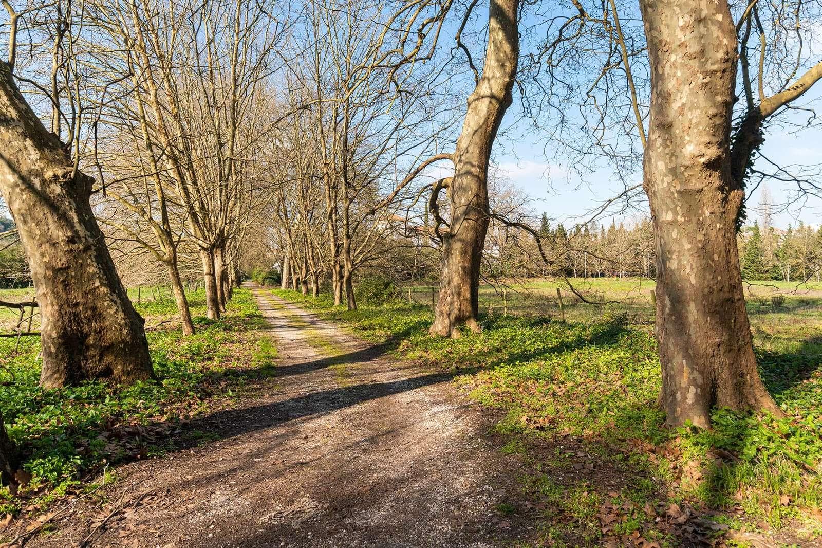 Quinta 19.5 ha, Sintra - Imagem 47