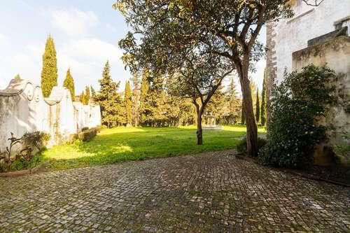 PF24300 - Ferme 19.5 ha, Sintra - Image 11