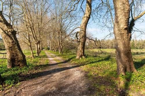 PF24300 - Ferme 19.5 ha, Sintra - Image 47