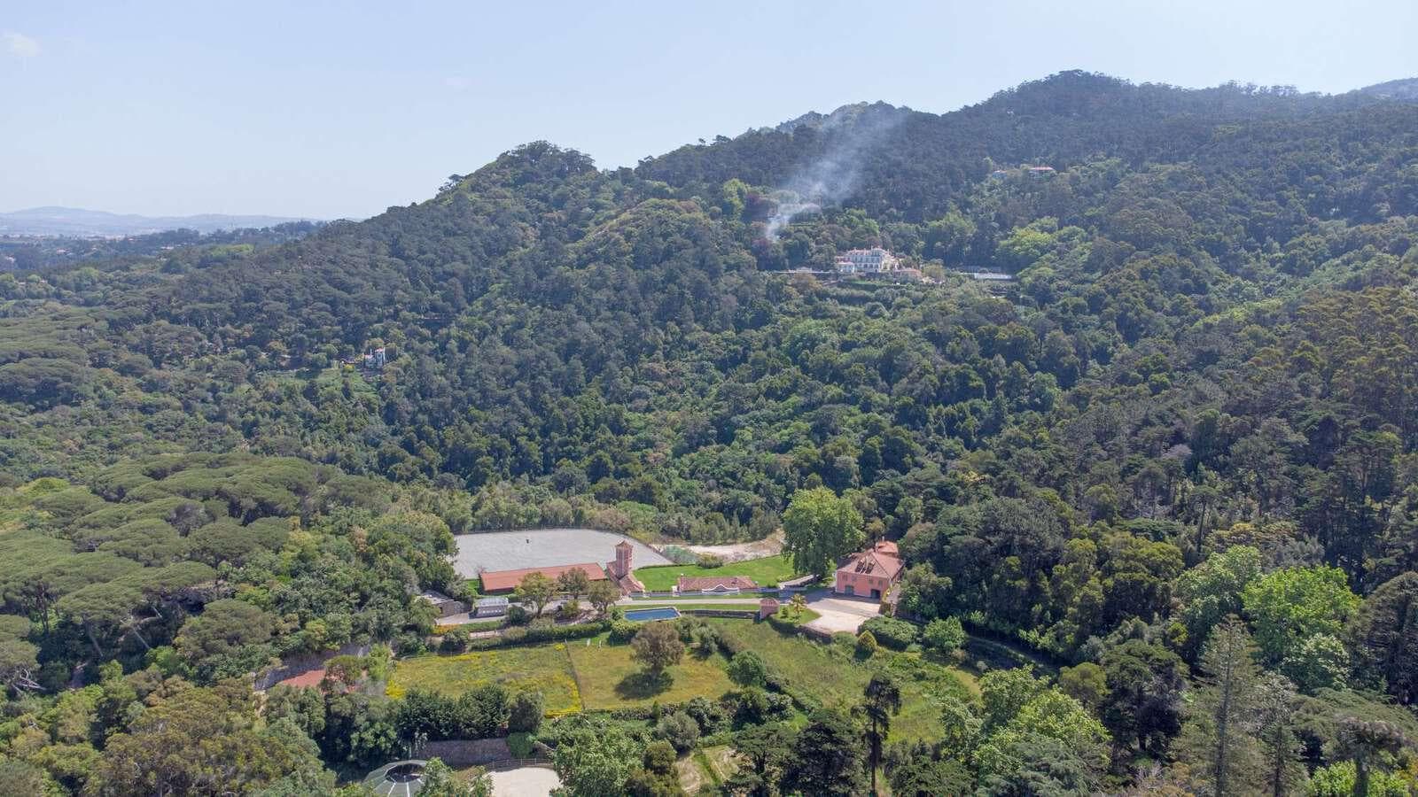 Farm 4.1 ha, Galamares, Sintra - Image 2