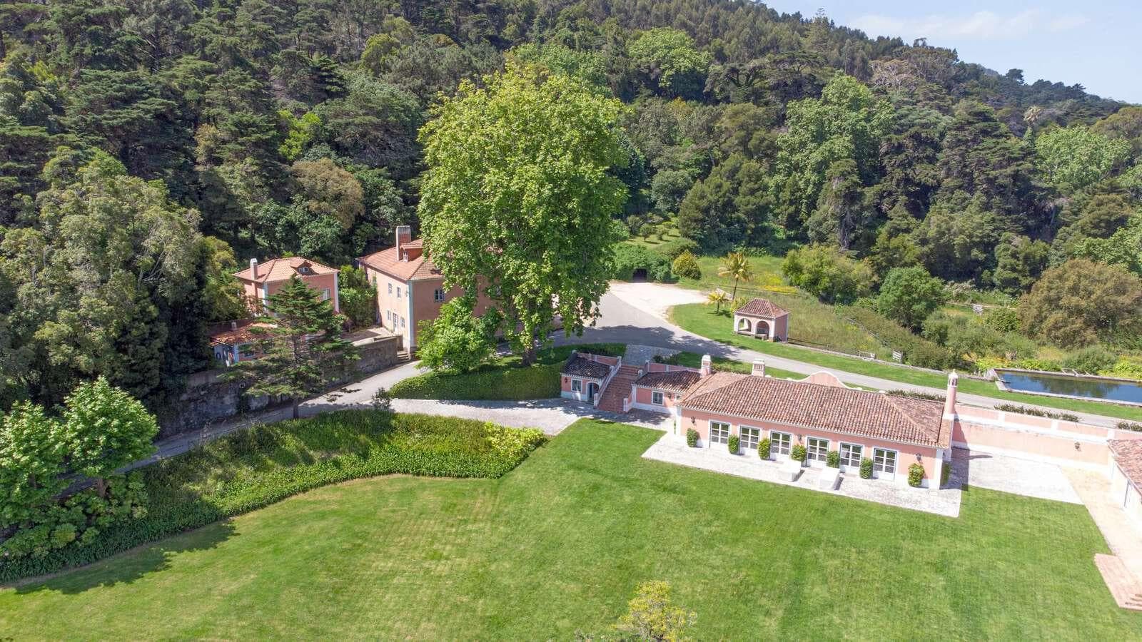 Farm 4.1 ha, Galamares, Sintra - Image 14