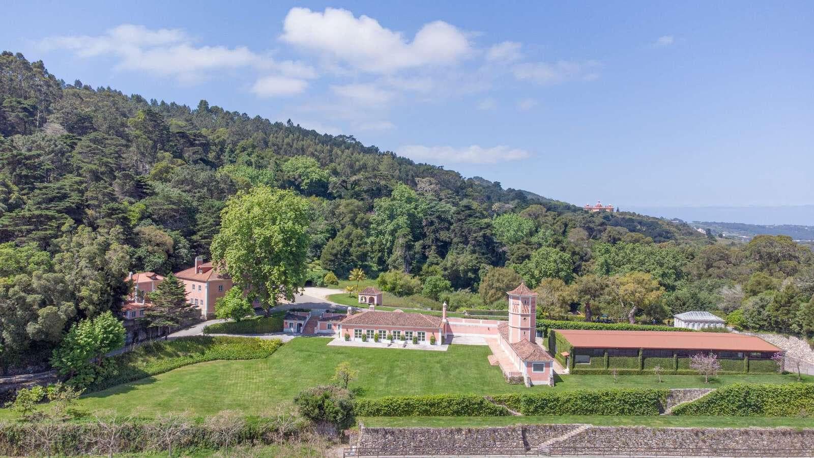 Farm 4.1 ha, Galamares, Sintra - Image 11