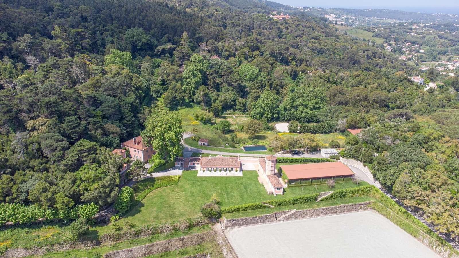 Farm 4.1 ha, Galamares, Sintra - Image 17