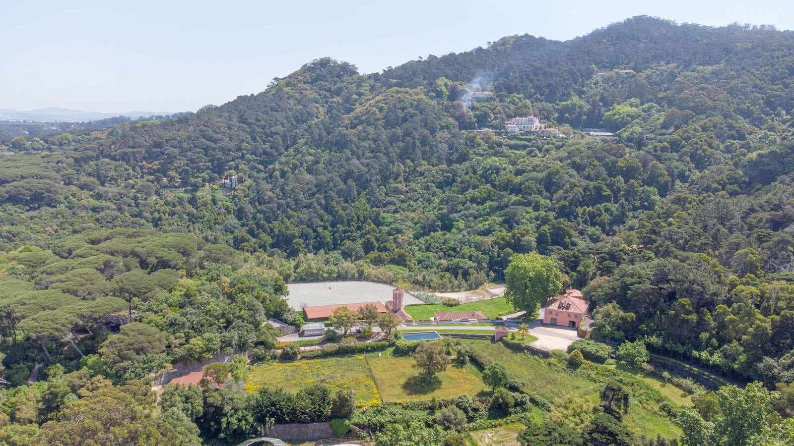Farm 4.1 ha, Galamares, Sintra - Image 16
