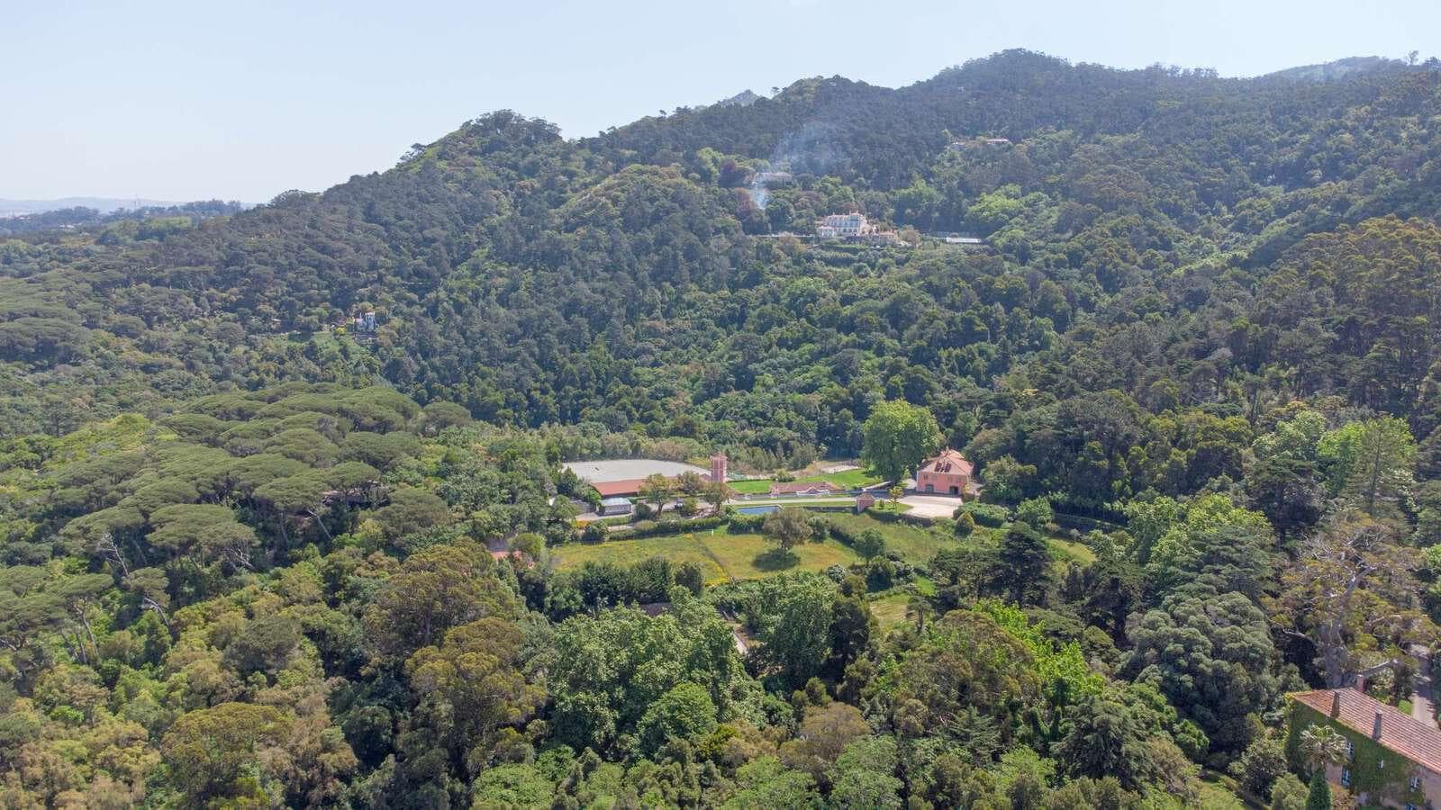Farm 4.1 ha, Galamares, Sintra - Image 19