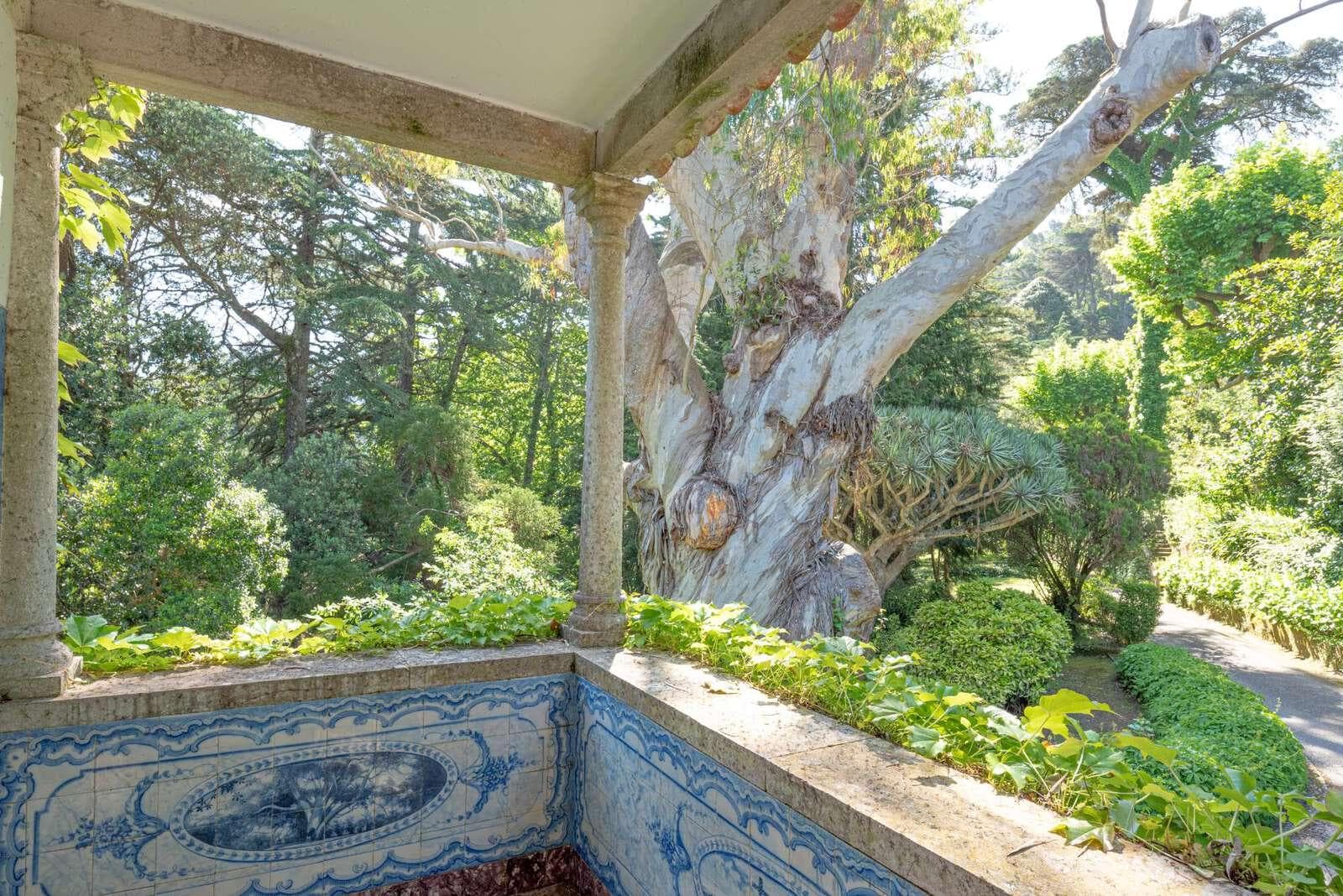 Farm 4.1 ha, Galamares, Sintra - Image 48