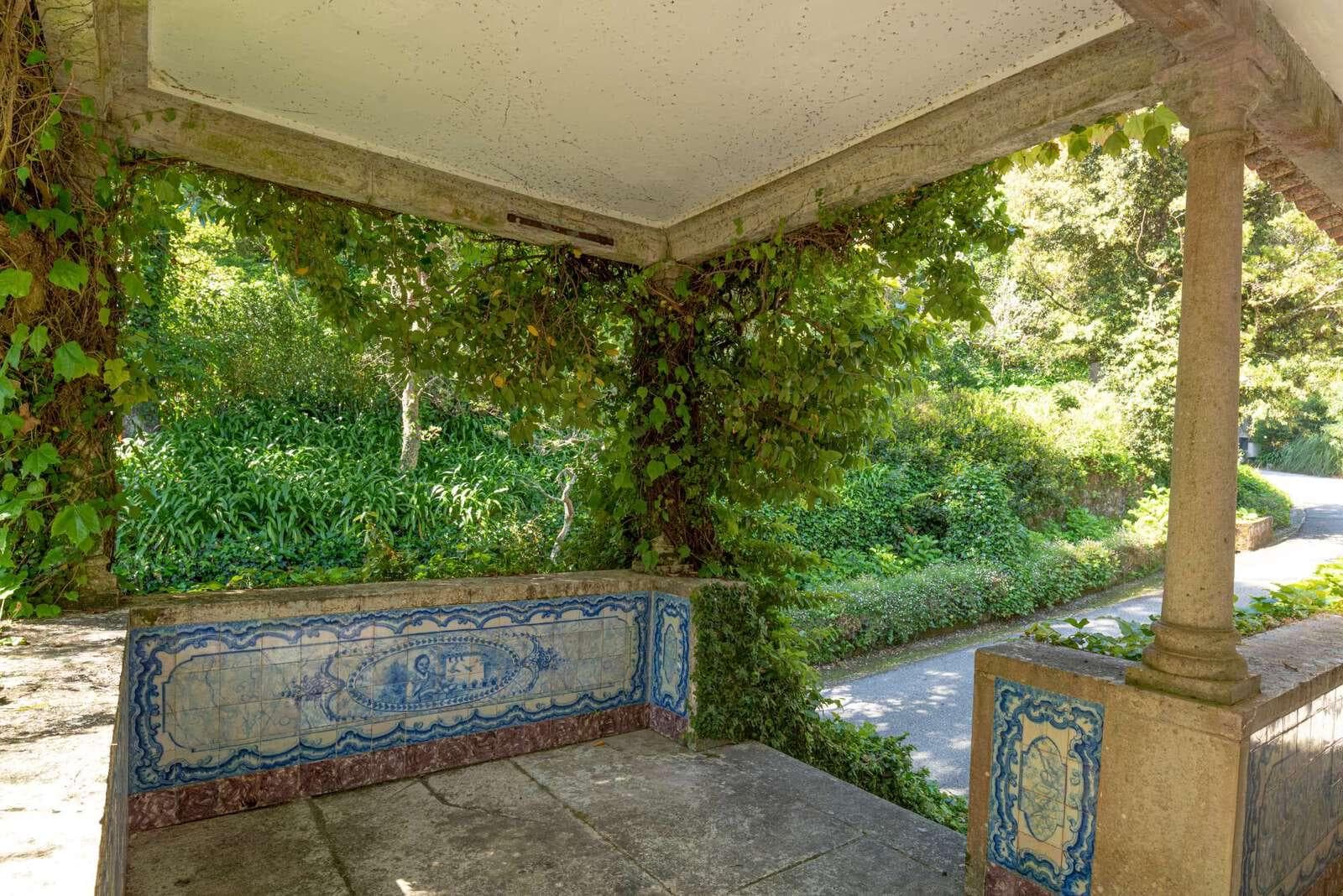 Farm 4.1 ha, Galamares, Sintra - Image 49