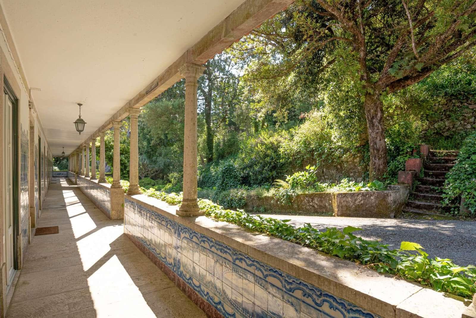 Farm 4.1 ha, Galamares, Sintra - Image 47