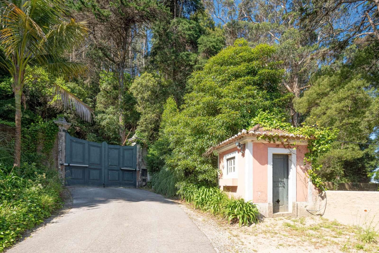 Farm 4.1 ha, Galamares, Sintra - Image 50