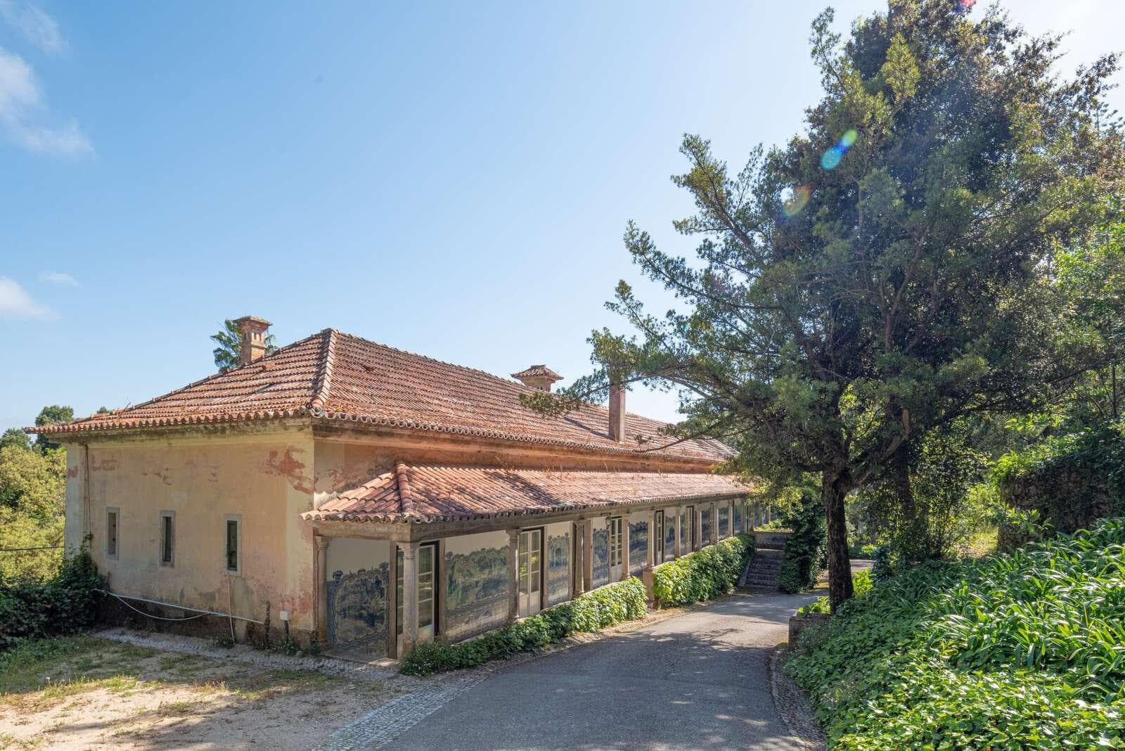 Farm 4.1 ha, Galamares, Sintra - Image 44