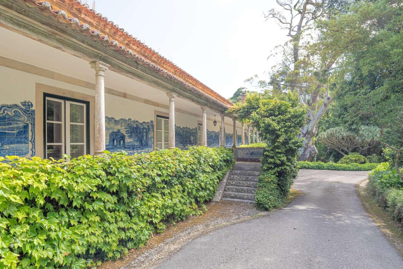 Farm 4.1 ha, Galamares, Sintra - Image 51