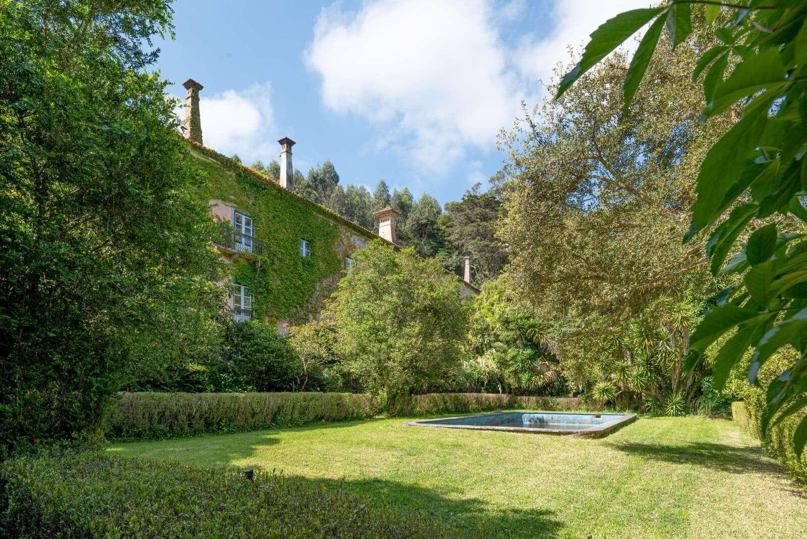 Farm 4.1 ha, Galamares, Sintra - Image 58