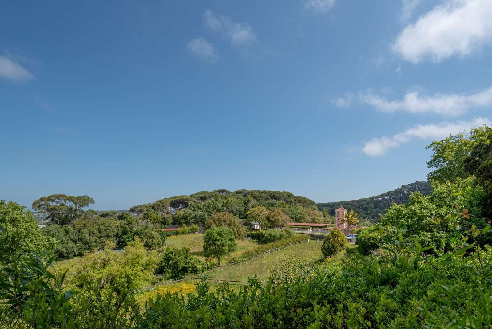 Farm 4.1 ha, Galamares, Sintra - Image 70