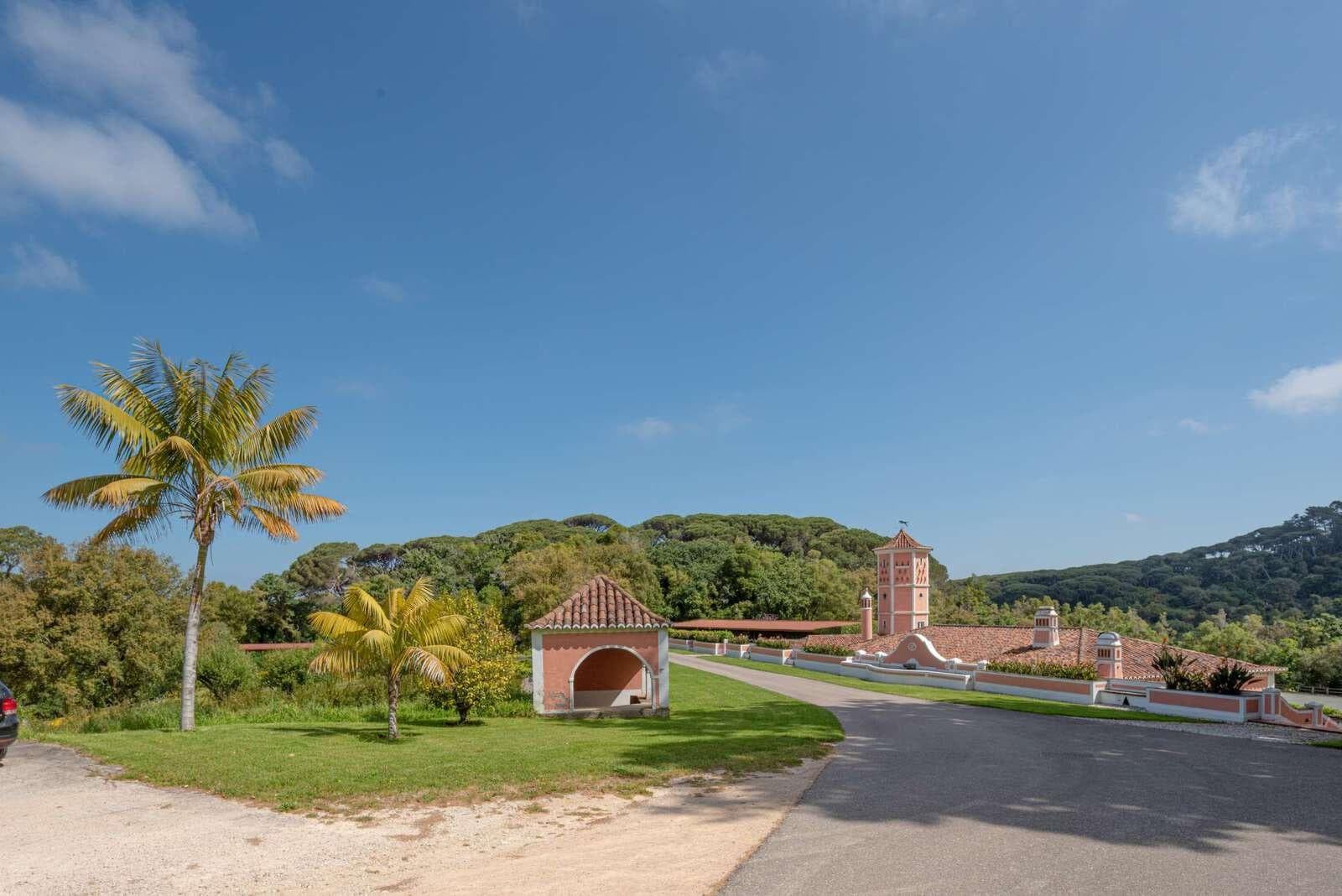Farm 4.1 ha, Galamares, Sintra - Image 65