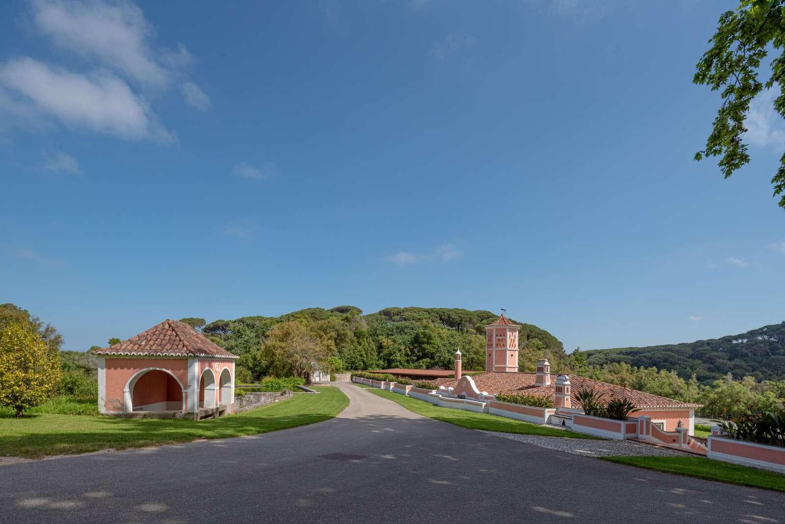 Farm 4.1 ha, Galamares, Sintra - Image 63