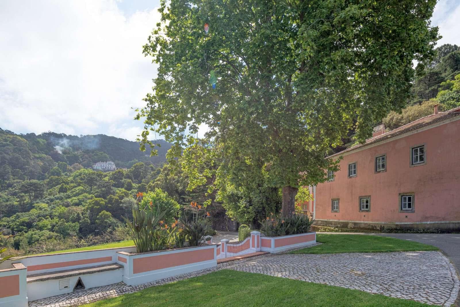 Farm 4.1 ha, Galamares, Sintra - Image 69