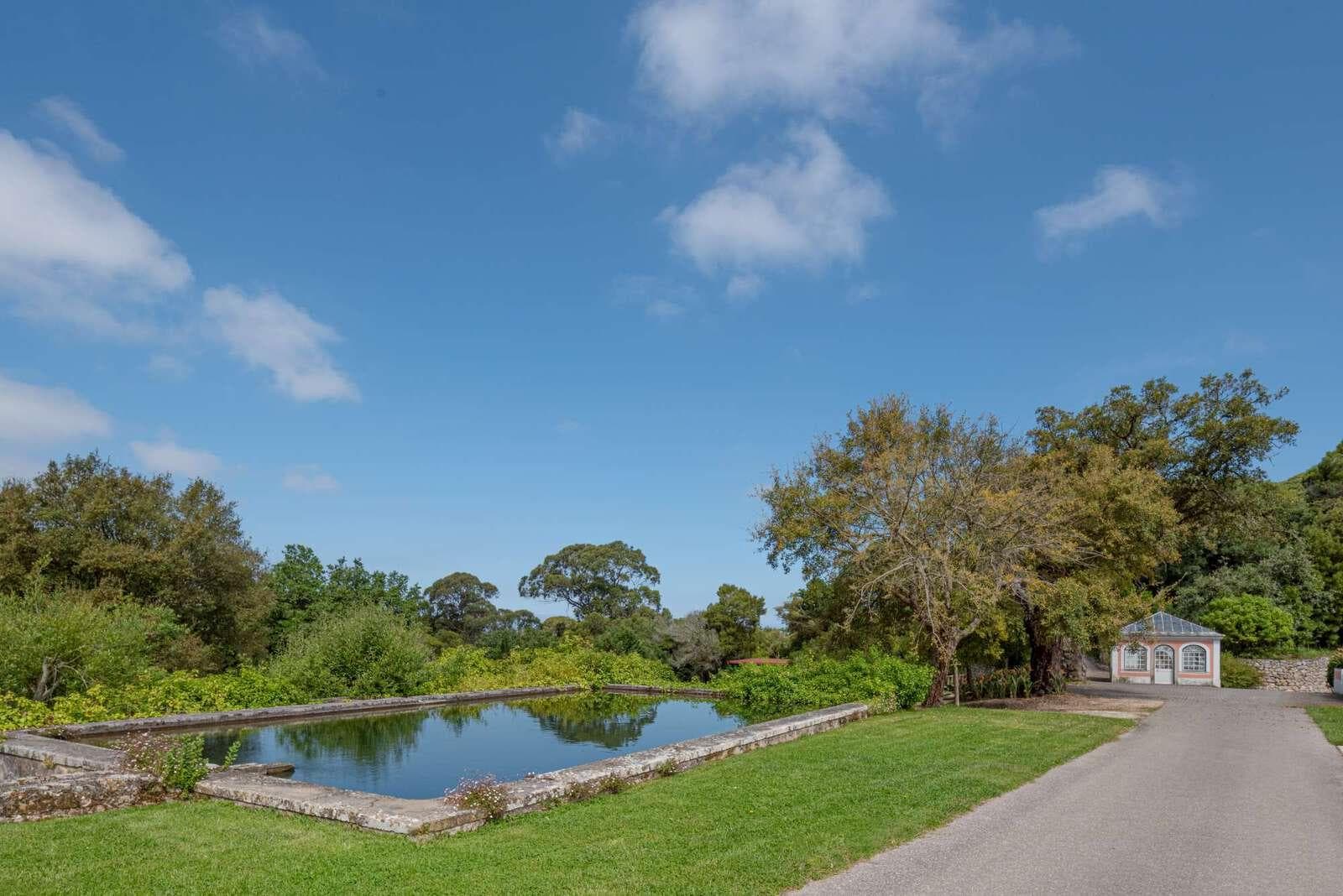 Farm 4.1 ha, Galamares, Sintra - Image 68