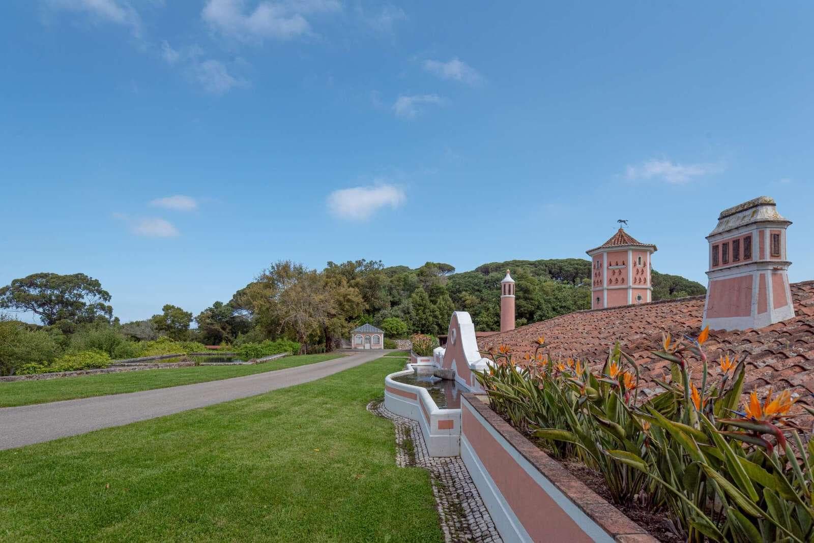 Farm 4.1 ha, Galamares, Sintra - Image 71
