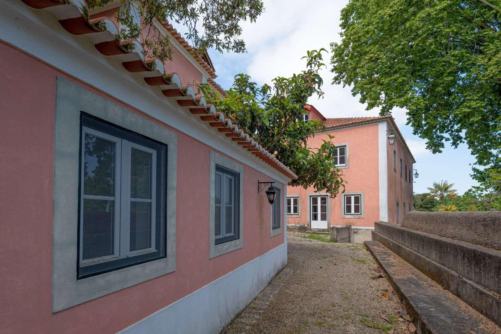 Farm 4.1 ha, Galamares, Sintra - Image 82