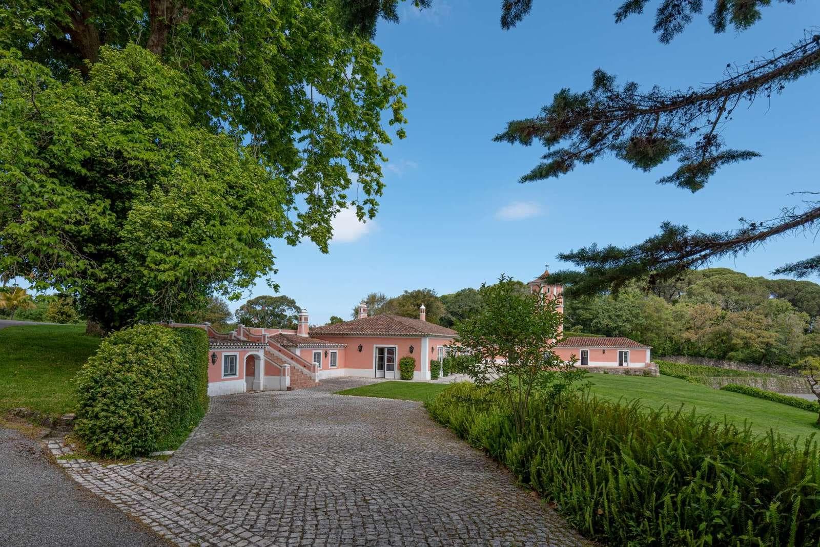 Farm 4.1 ha, Galamares, Sintra - Image 92