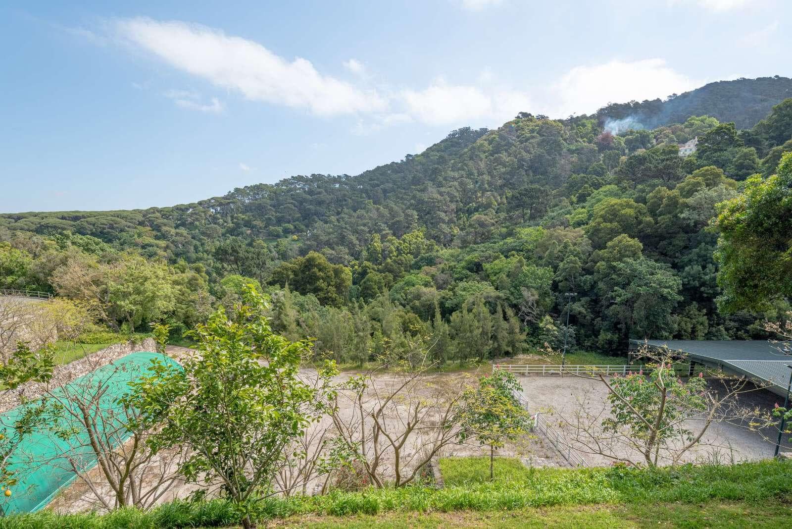 Farm 4.1 ha, Galamares, Sintra - Image 88