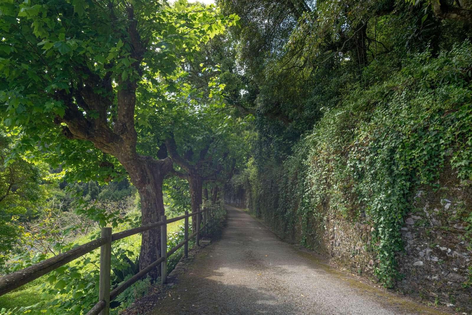 Farm 4.1 ha, Galamares, Sintra - Image 91