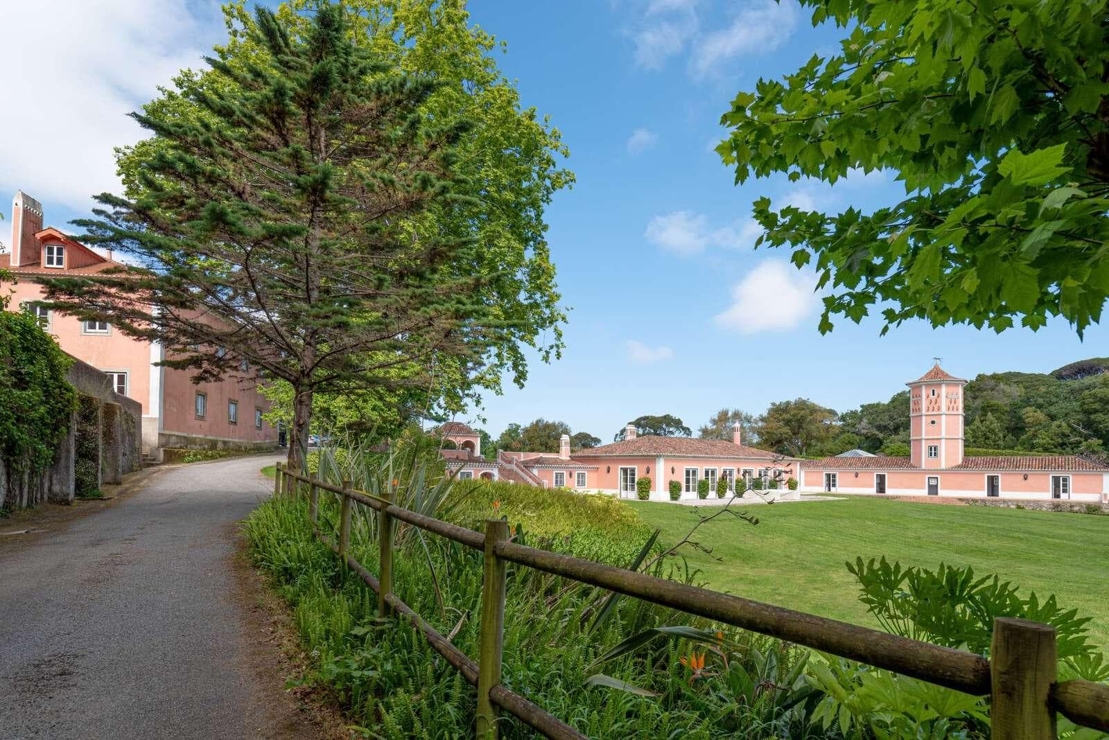 Farm 4.1 ha, Galamares, Sintra - Image 90