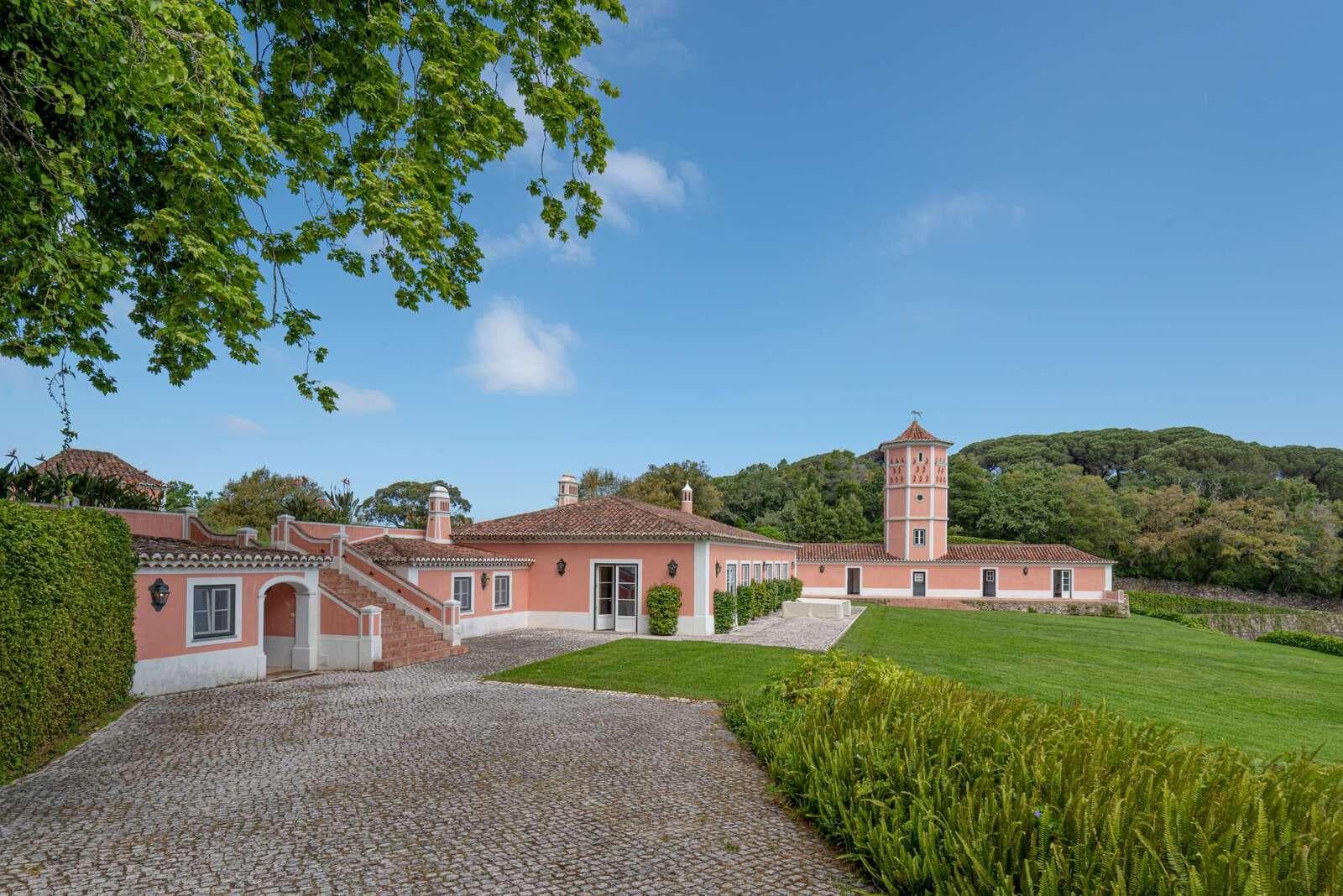 Farm 4.1 ha, Galamares, Sintra - Image 87