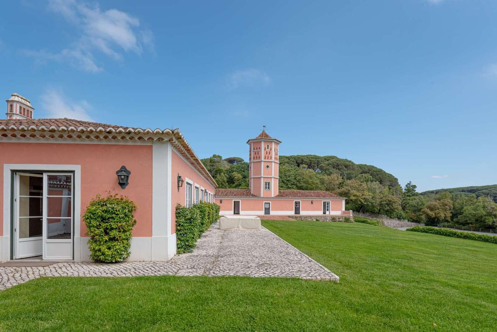 Farm 4.1 ha, Galamares, Sintra - Image 83