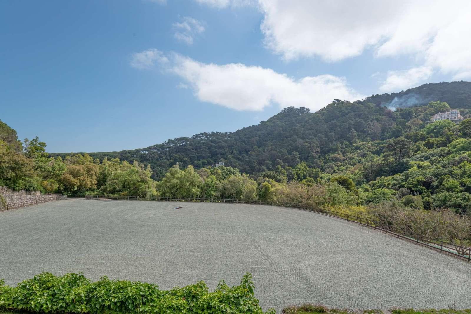 Farm 4.1 ha, Galamares, Sintra - Image 85