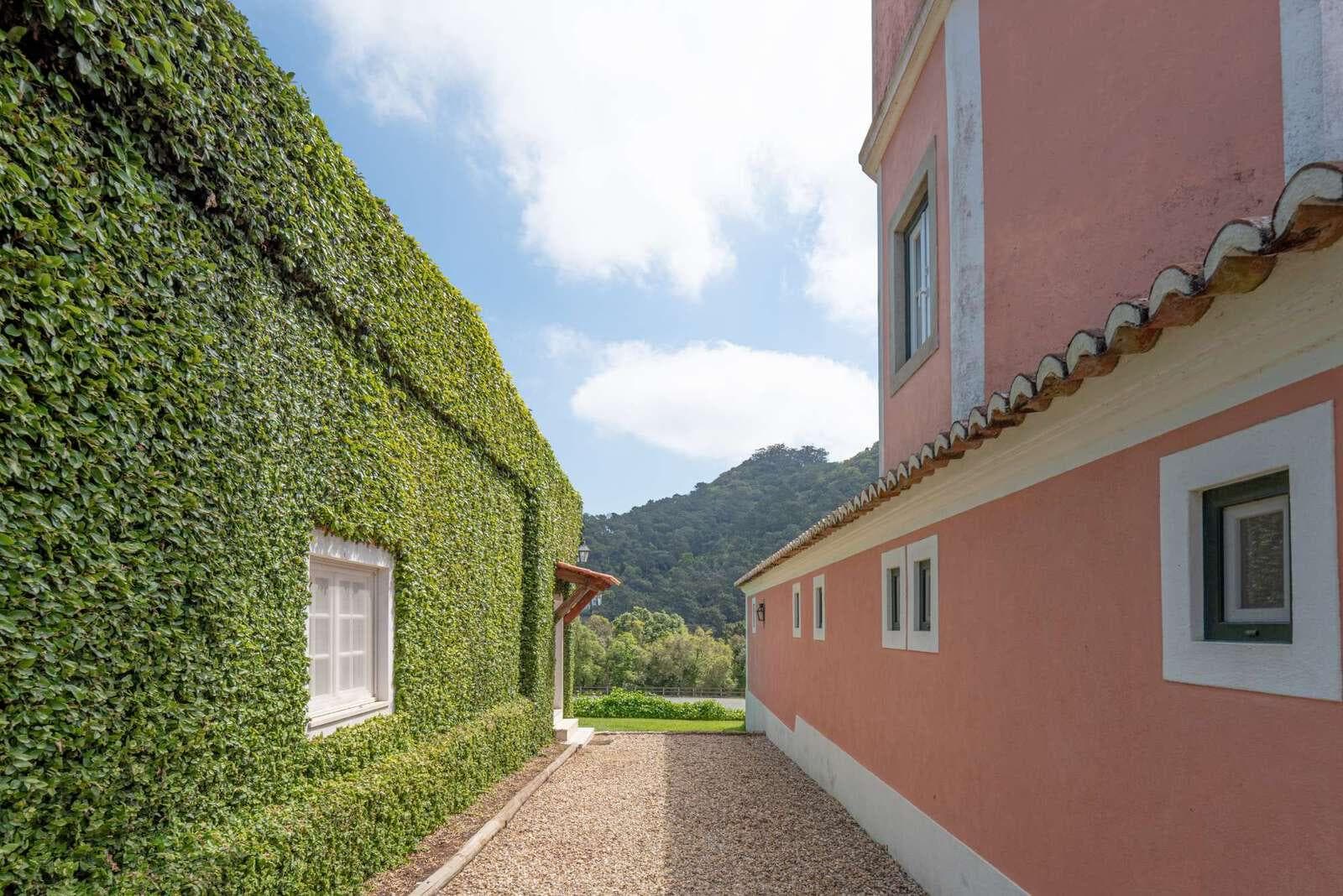 Farm 4.1 ha, Galamares, Sintra - Image 98
