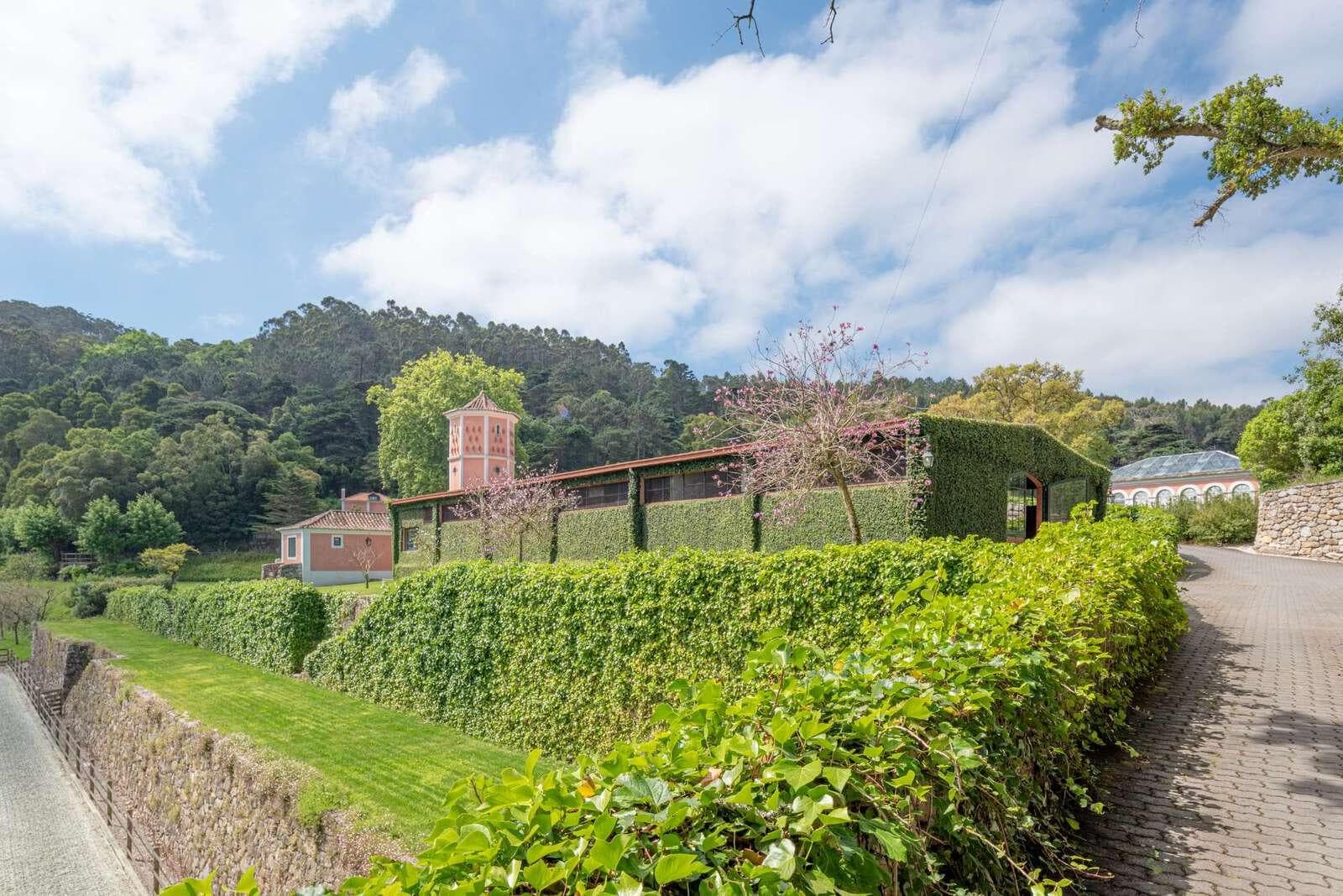 Farm 4.1 ha, Galamares, Sintra - Image 99