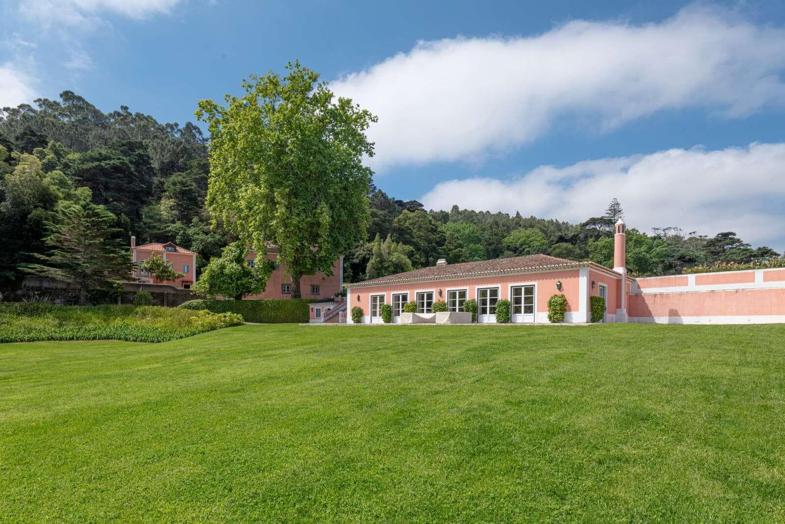 Farm 4.1 ha, Galamares, Sintra - Image 106