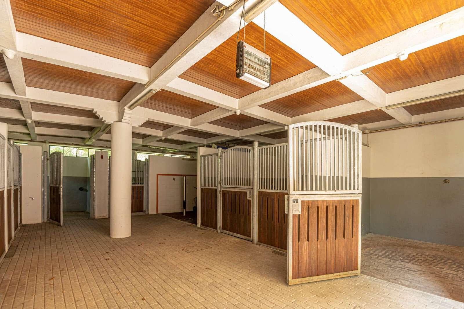 Farm 4.1 ha, Galamares, Sintra - Image 97