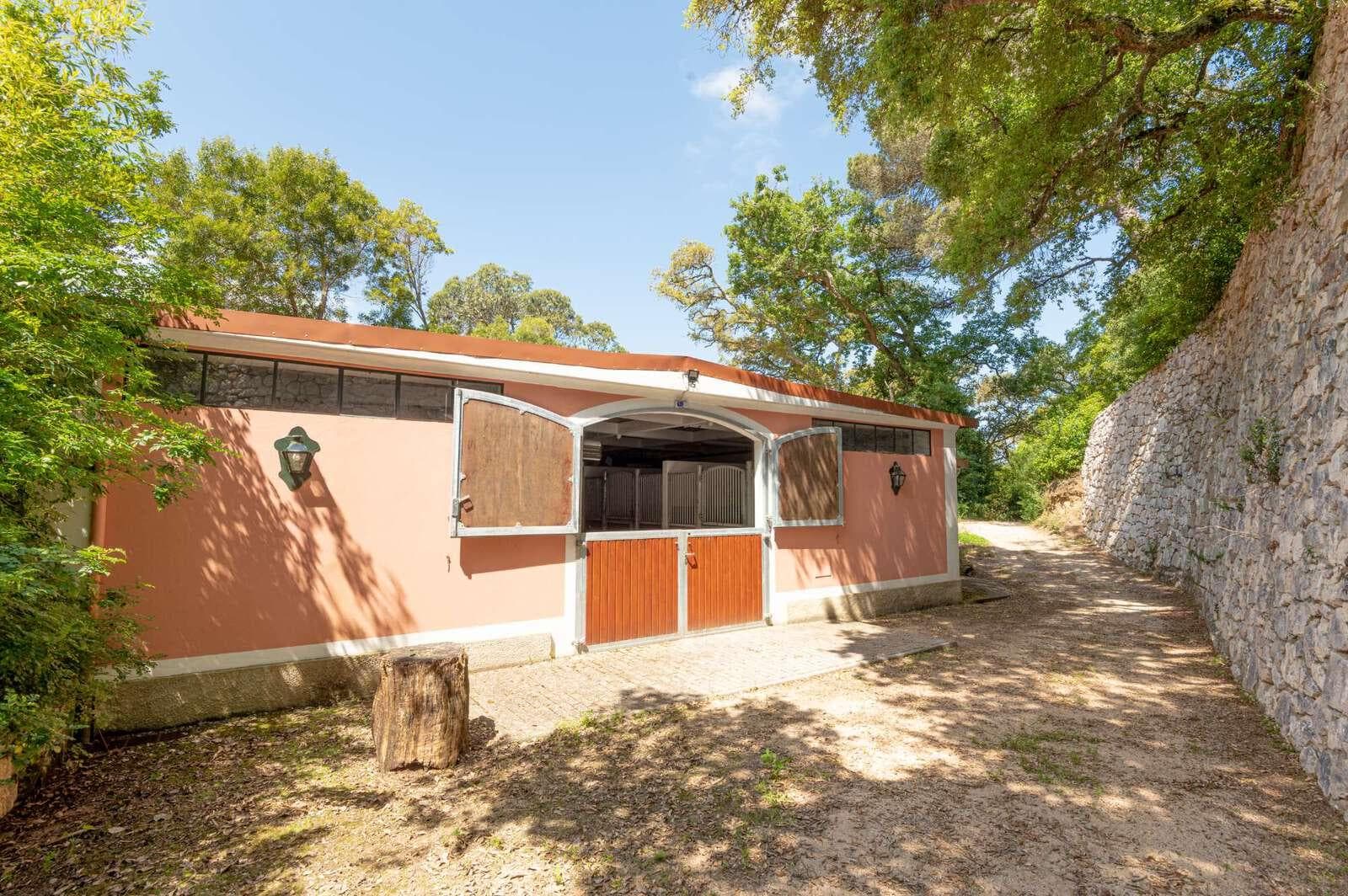 Farm 4.1 ha, Galamares, Sintra - Image 107