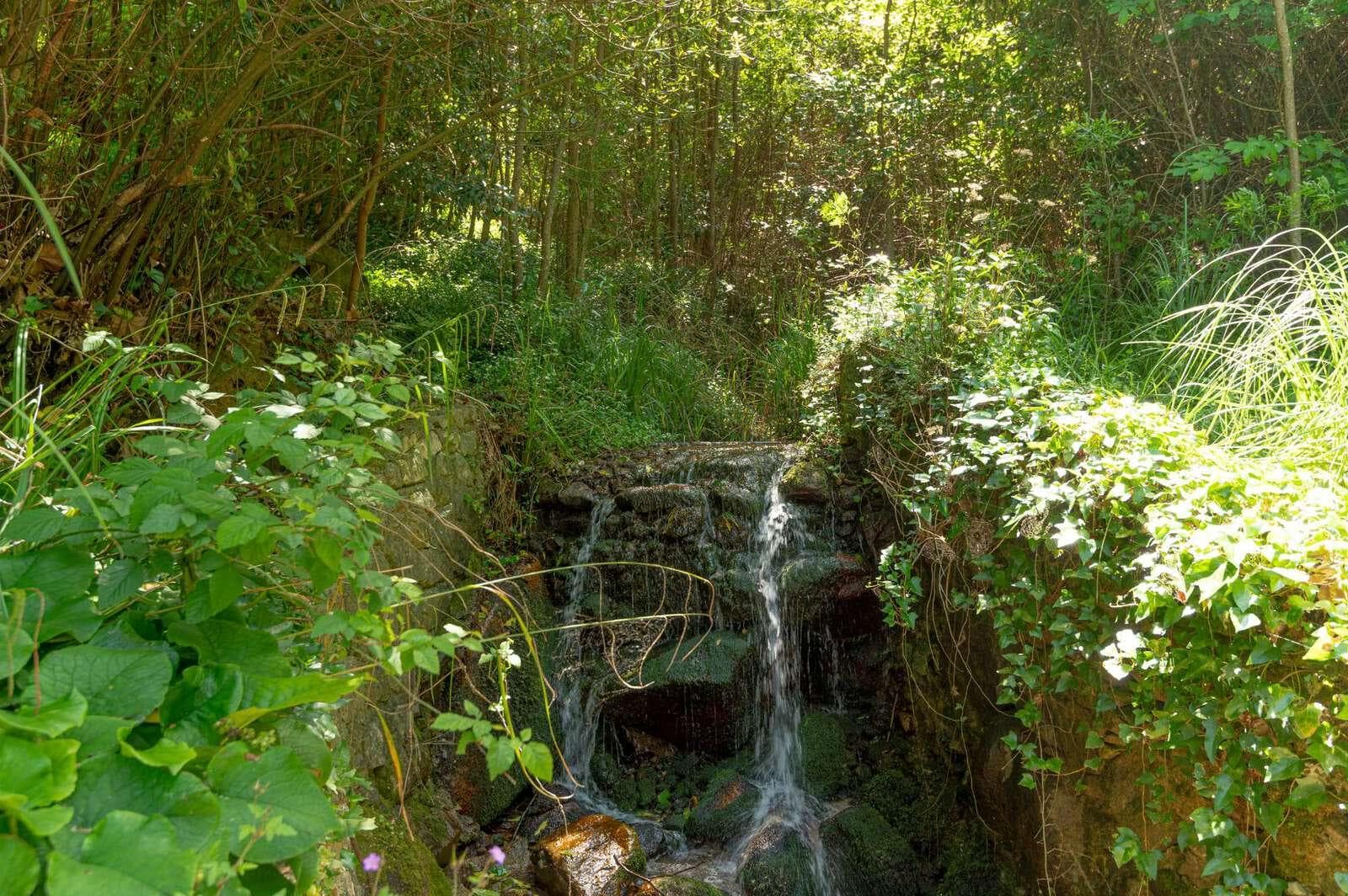 Farm 4.1 ha, Galamares, Sintra - Image 118