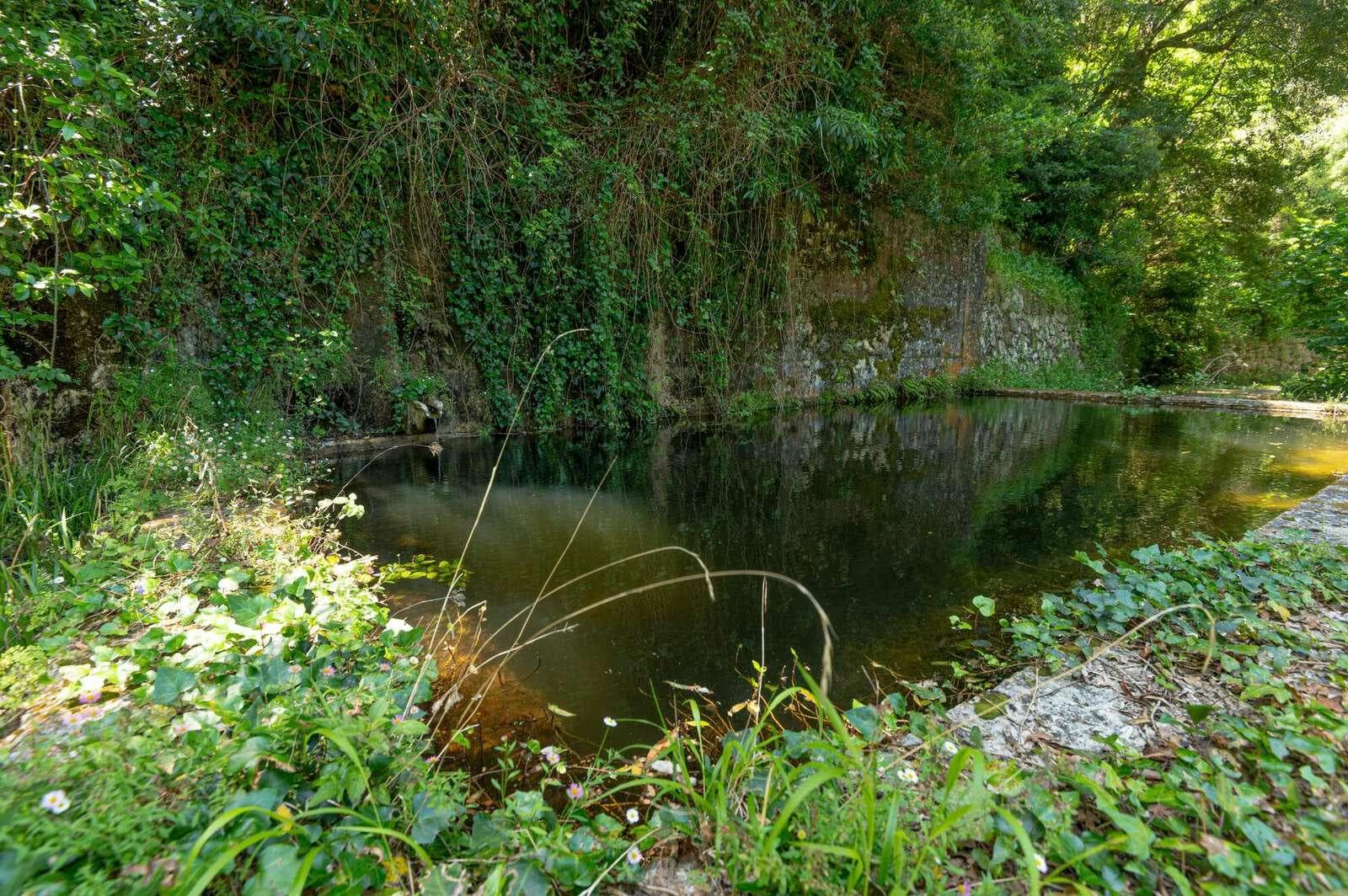 Farm 4.1 ha, Galamares, Sintra - Image 117