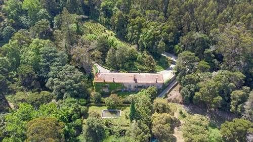 PF25564 - Quinta 4.1 ha, Galamares, Sintra - Imagem 6