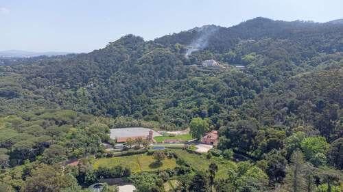 PF25564 - Quinta 4.1 ha, Galamares, Sintra - Imagem 2