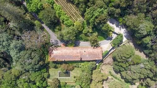PF25564 - Quinta 4.1 ha, Galamares, Sintra - Imagem 18