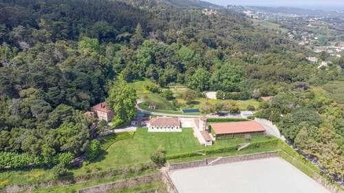 PF25564 - Quinta 4.1 ha, Galamares, Sintra - Imagem 17
