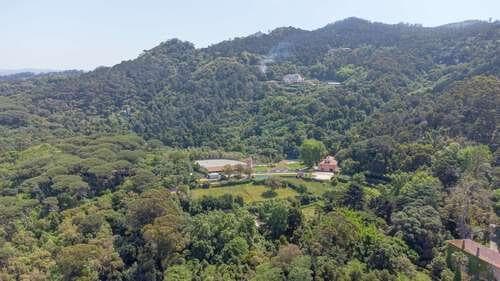 PF25564 - Quinta 4.1 ha, Galamares, Sintra - Imagem 19