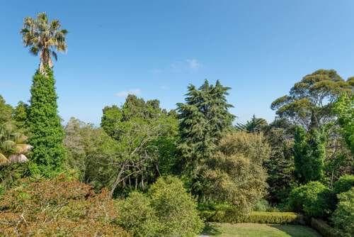 PF25564 - Quinta 4.1 ha, Galamares, Sintra - Imagem 46