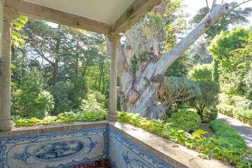 PF25564 - Quinta 4.1 ha, Galamares, Sintra - Imagem 48