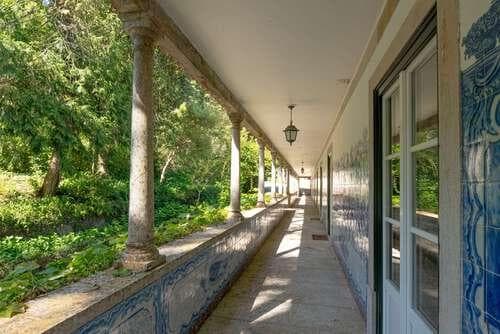 PF25564 - Quinta 4.1 ha, Galamares, Sintra - Imagem 43